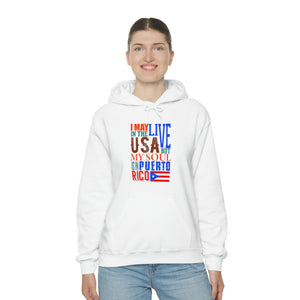 Unisex Heavy Blend™ Hooded Sweatshirt